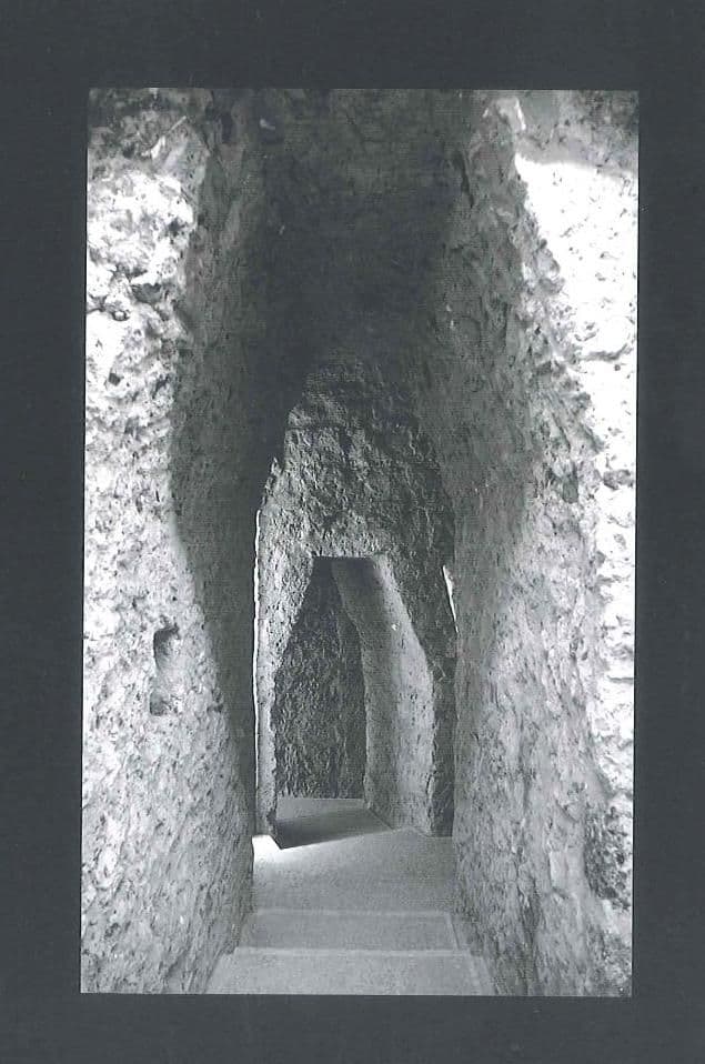 cripta5